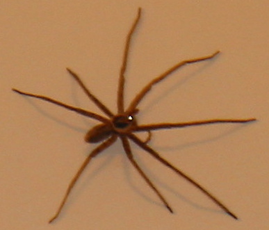 * Image 19