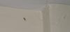 hallway spider.jpg - 2003:09:07 01:33:48