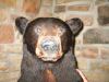 lobby bear.jpg - 2003:07:05 21:40:58