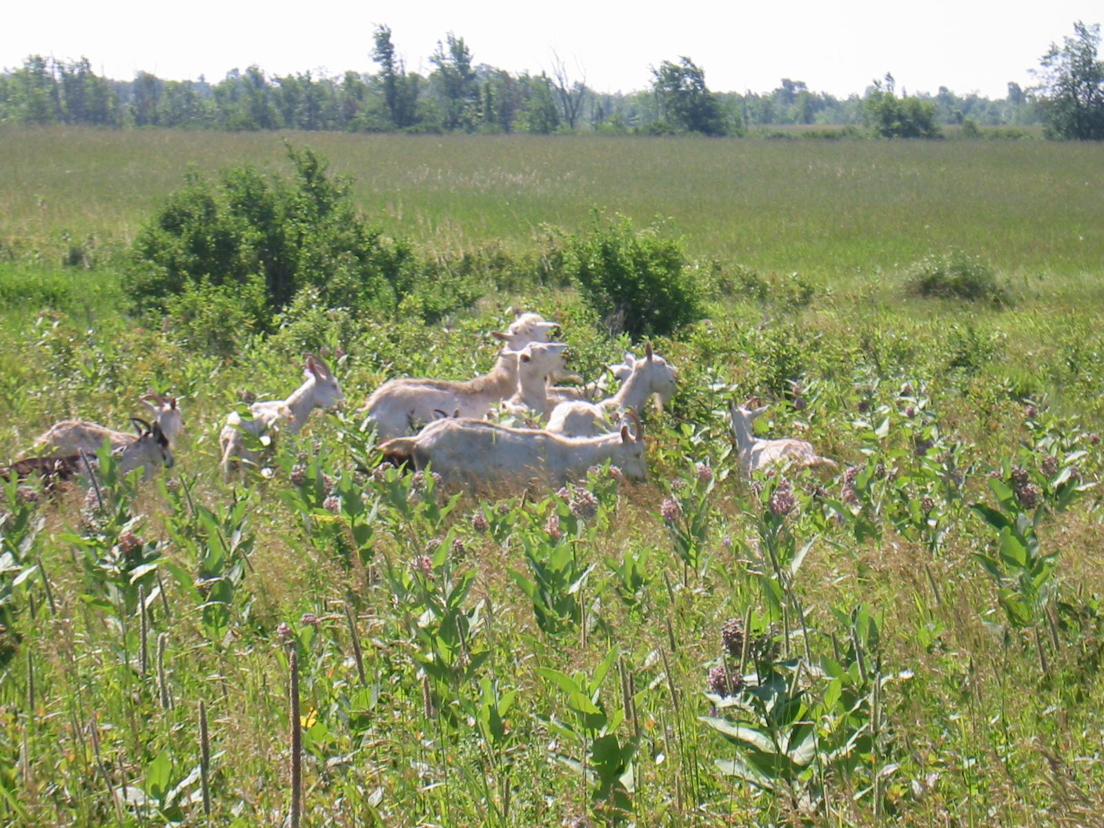 * Image 3