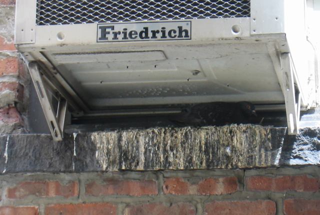 * Image 5