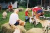 6424590-R1-025-11.jpg - 
