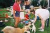 6424590-R1-027-12.jpg - 