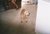 6424600-R1-066-31A.jpg - 