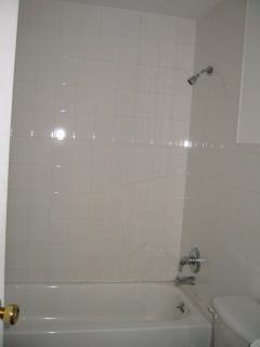 * Image 2