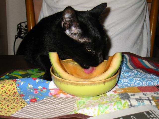 * Image 2