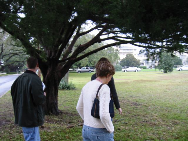 * Image 9