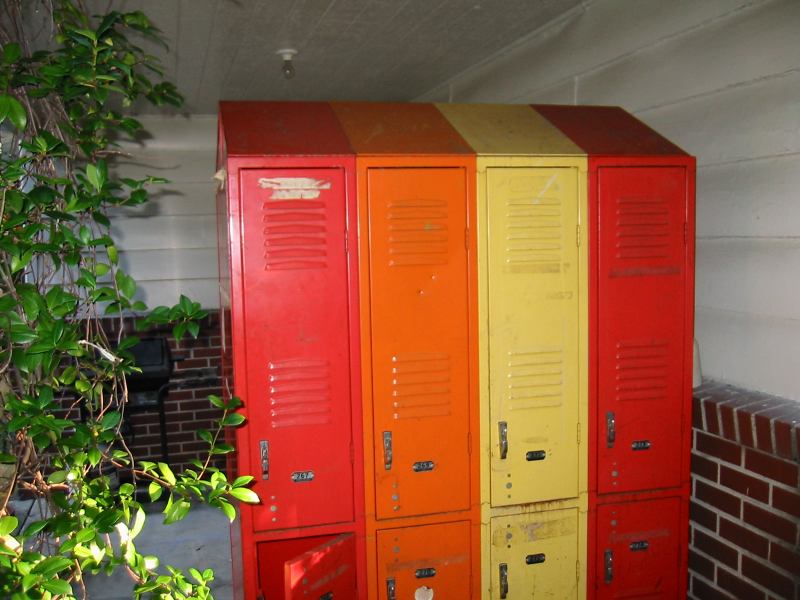 * Image 12